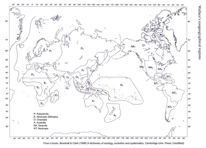 Wallaces Zoogeographical Regions